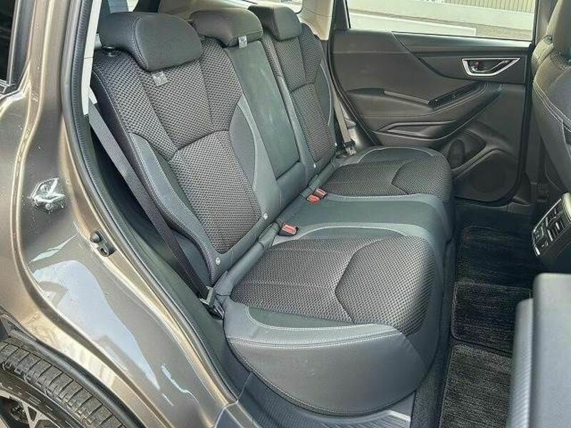 FORESTER-5