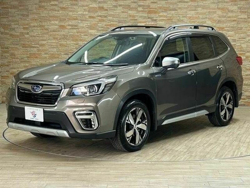 FORESTER-13