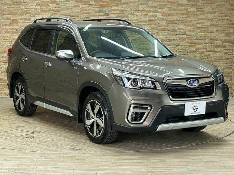 FORESTER-14