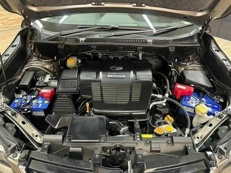FORESTER-17