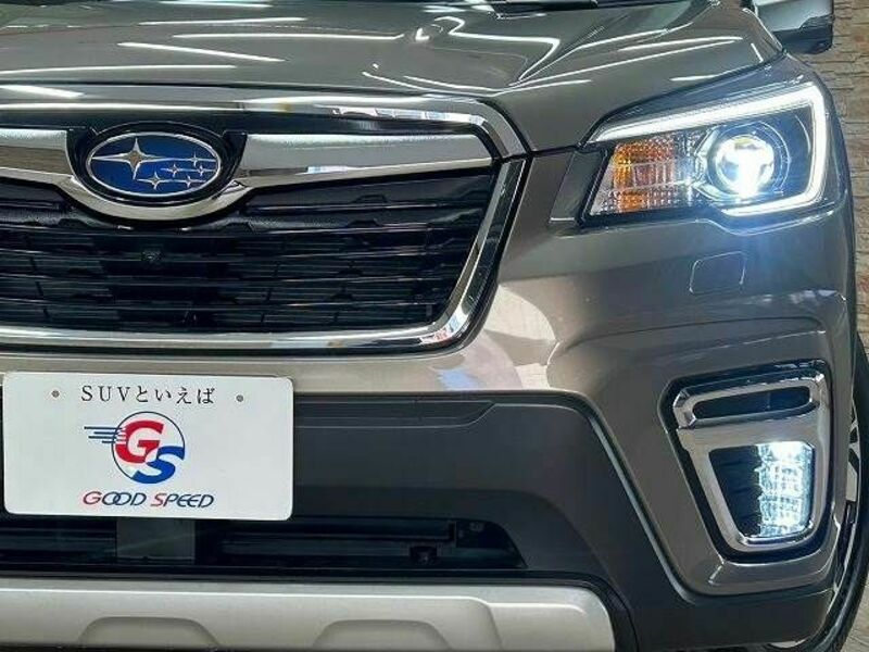 FORESTER-19