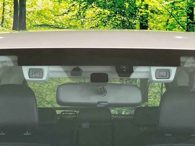 FORESTER-16
