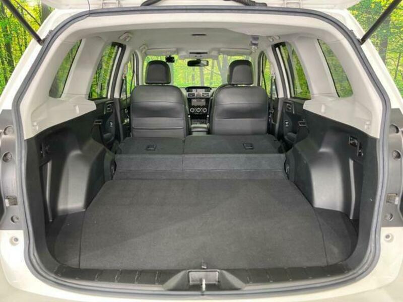 FORESTER-9