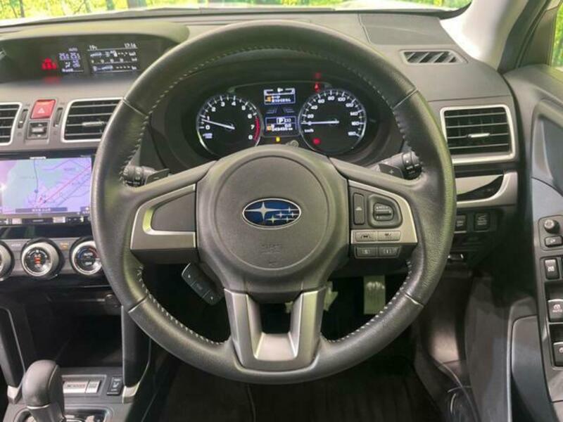 FORESTER-10