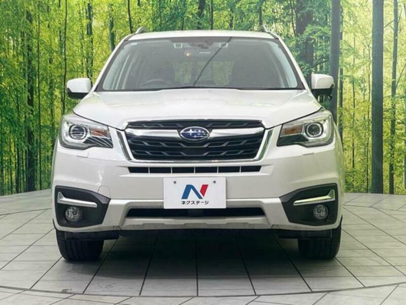 FORESTER-13