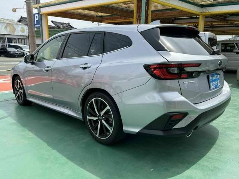 LEVORG