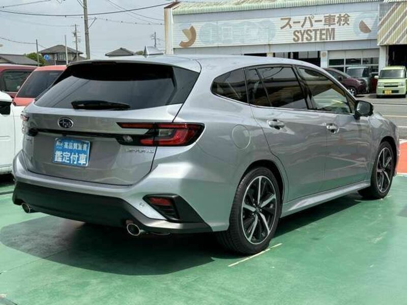 LEVORG