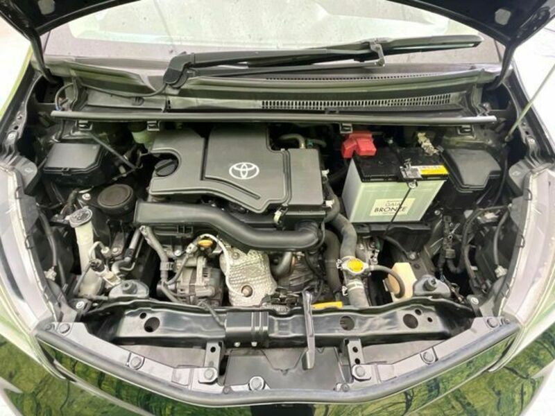 VITZ