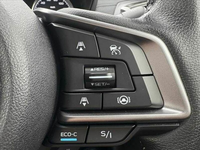 FORESTER-6