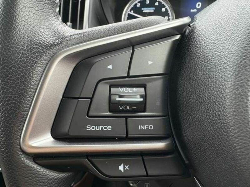 FORESTER-22