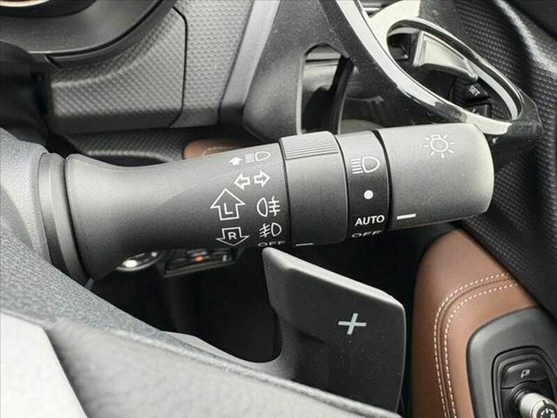 FORESTER-24