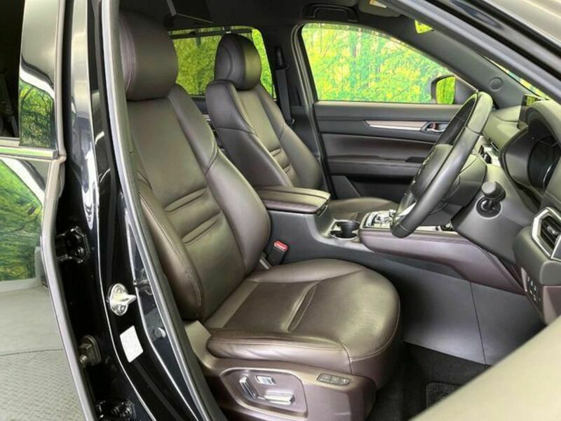 CX-8-8