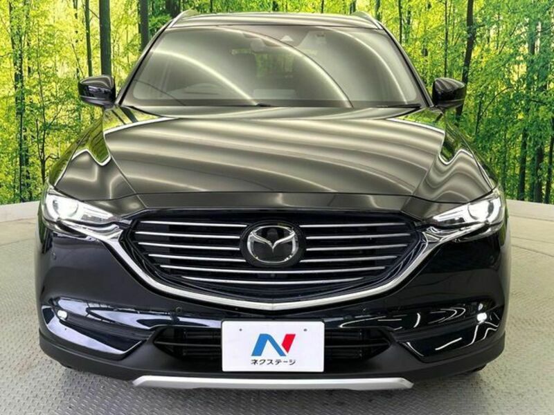 CX-8-15