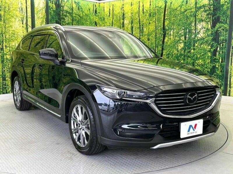 CX-8-17