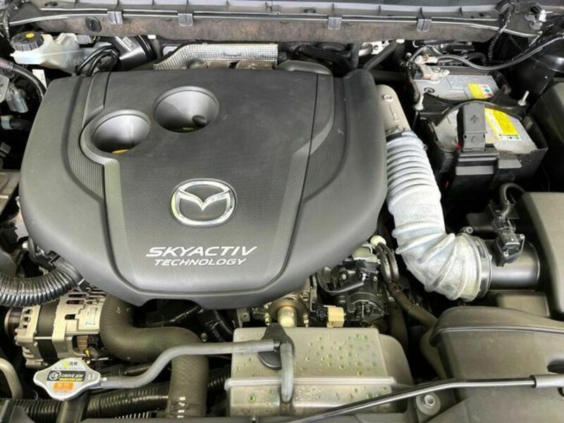 CX-8-18