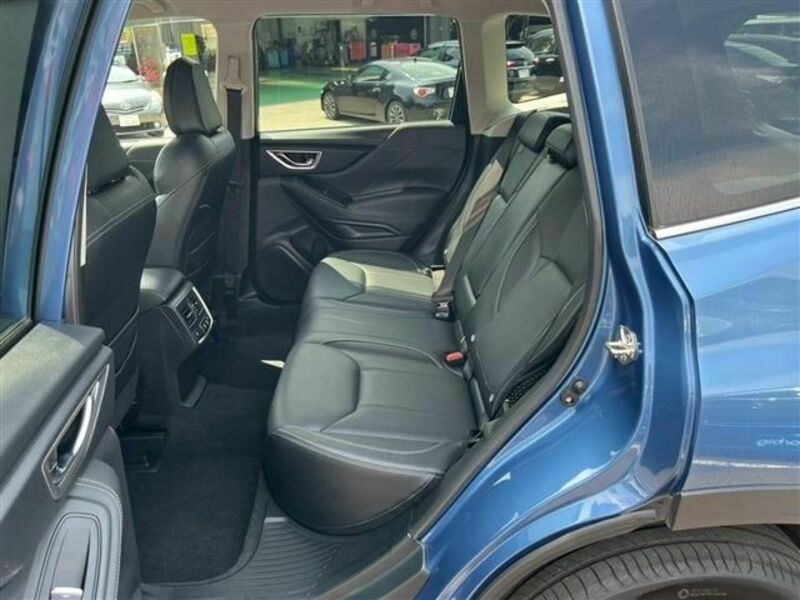 FORESTER-3