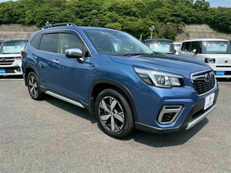 FORESTER-4