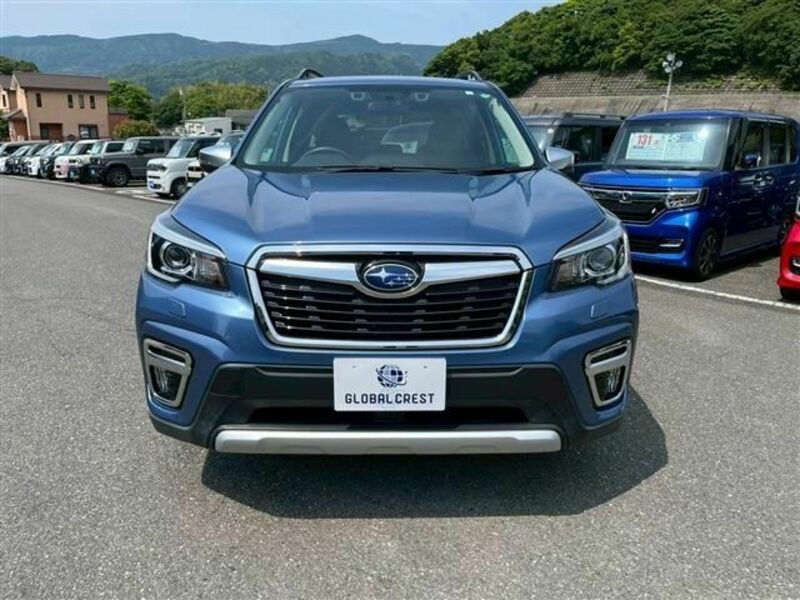 FORESTER-5