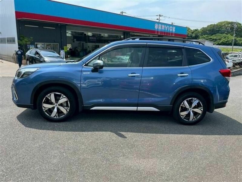 FORESTER-7