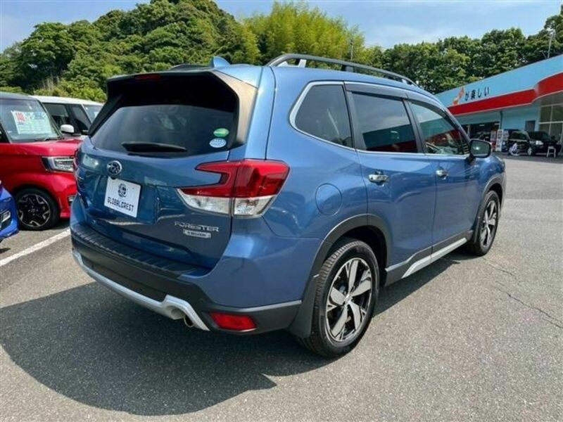FORESTER-10
