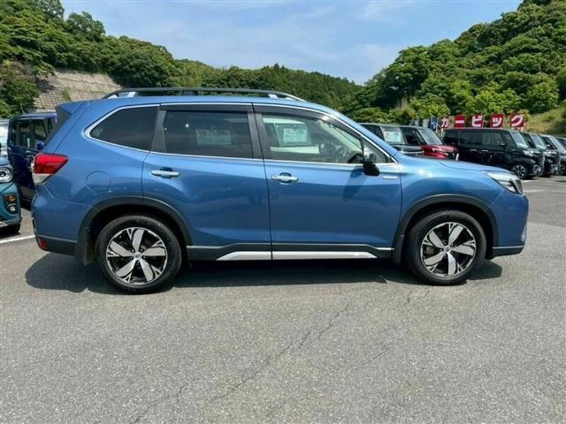 FORESTER-11