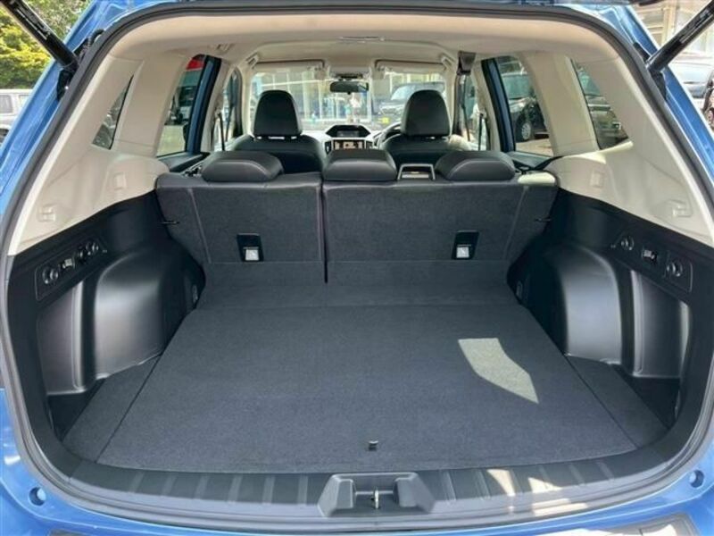 FORESTER-20