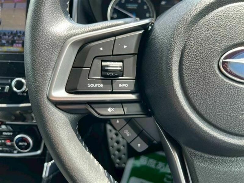 FORESTER-25