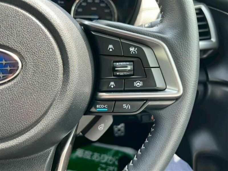 FORESTER-26