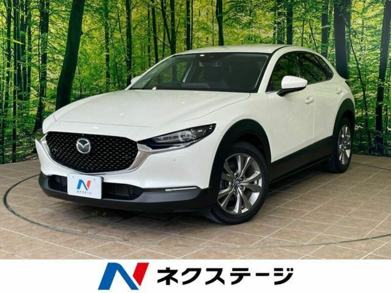 CX-30