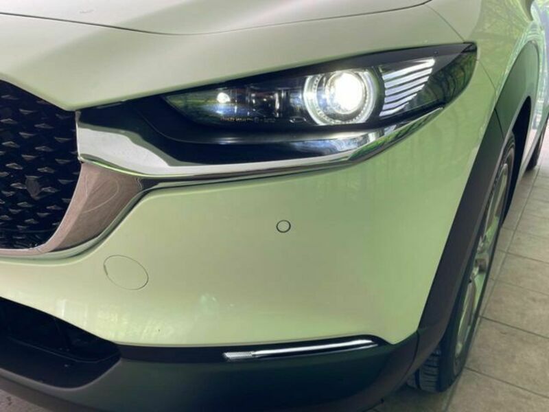 CX-30