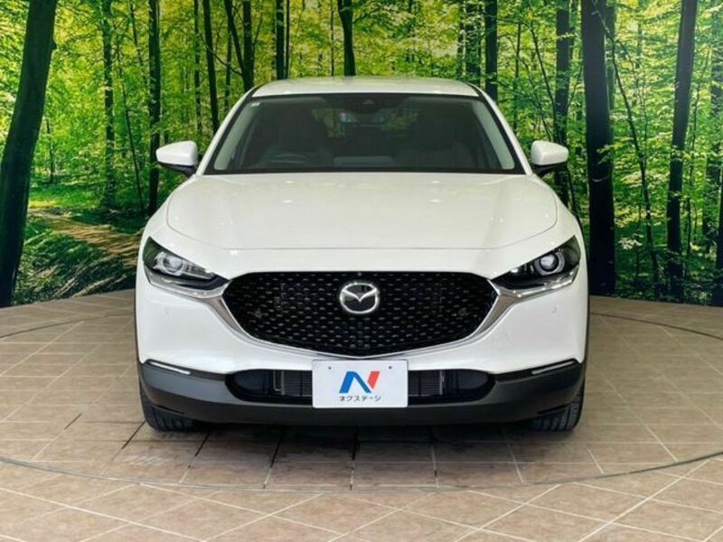 CX-30