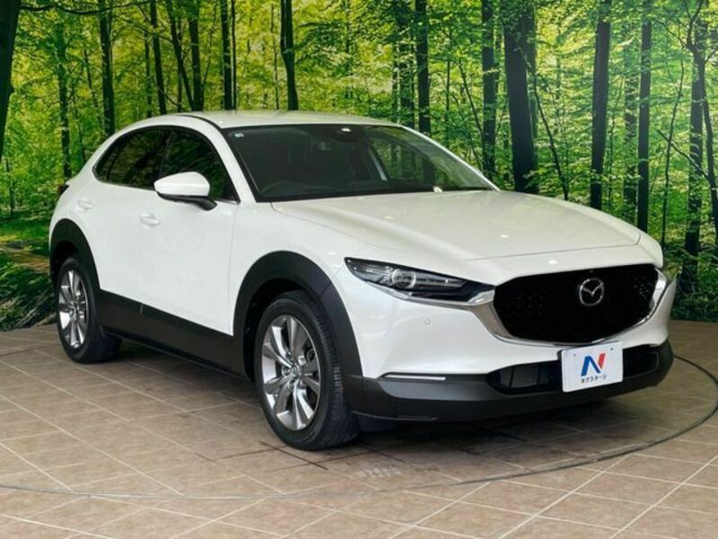 CX-30