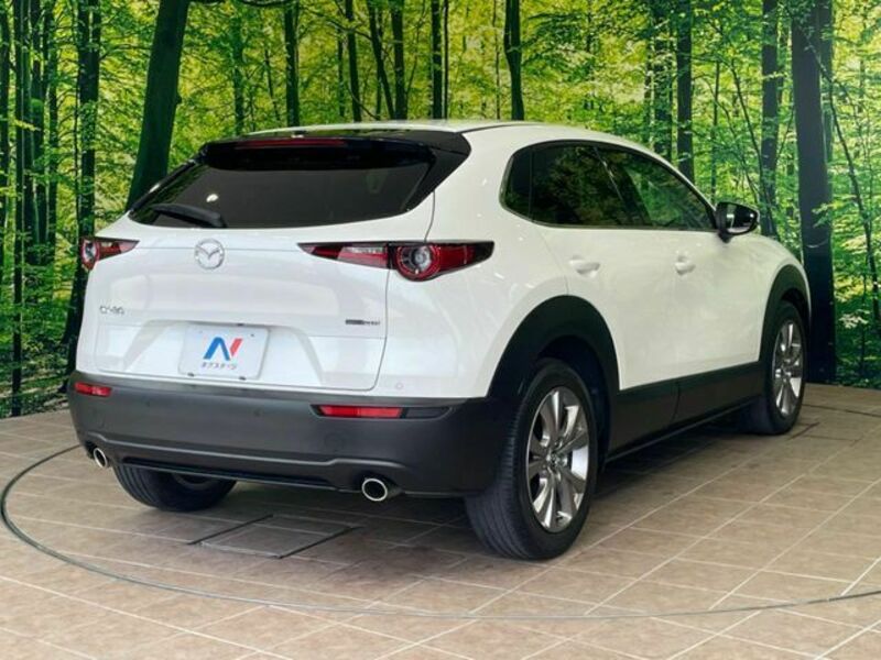 CX-30