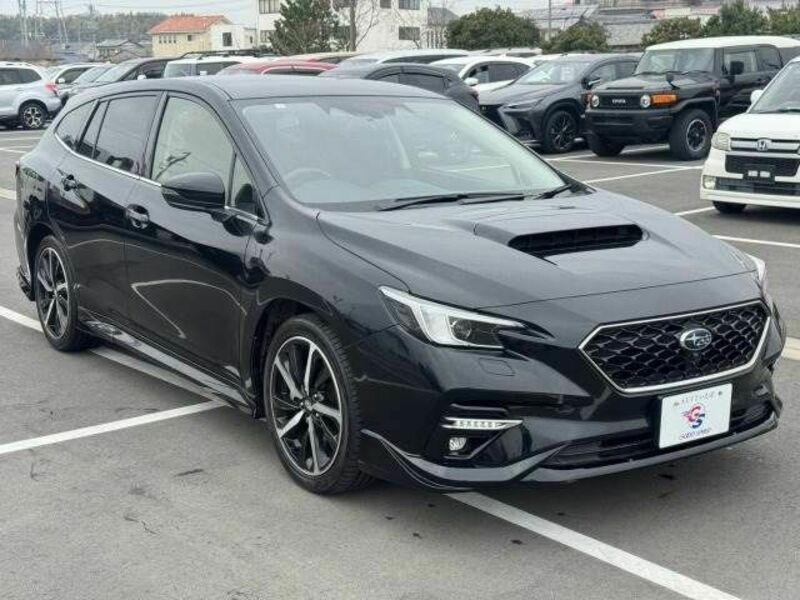 LEVORG