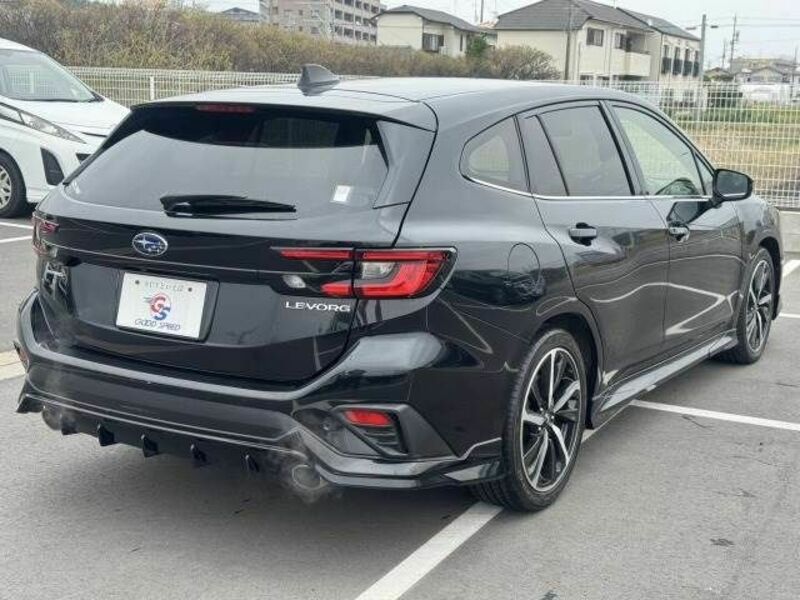 LEVORG