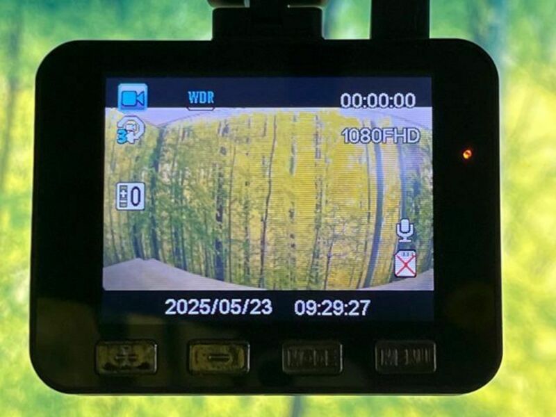 N BOX-6