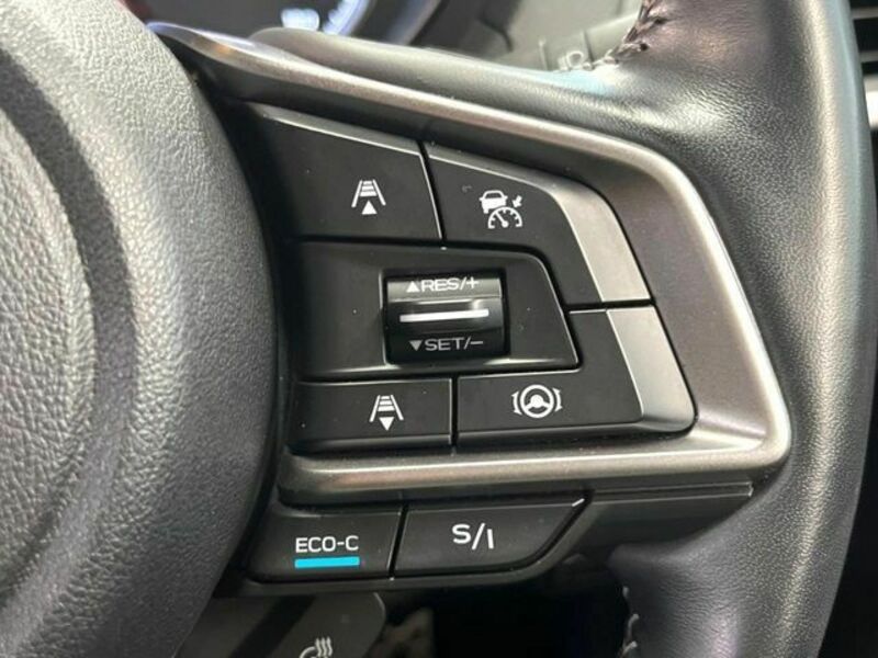 FORESTER-4