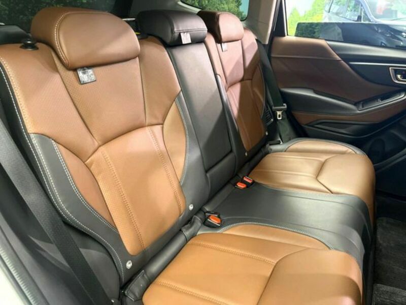 FORESTER-12