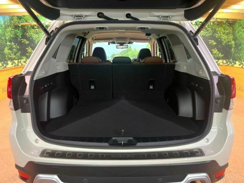 FORESTER-13