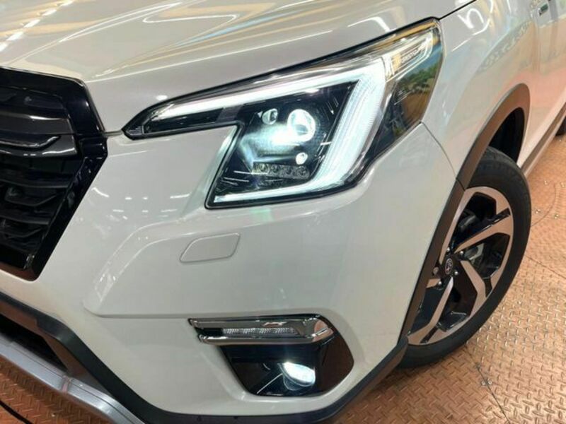 FORESTER-14
