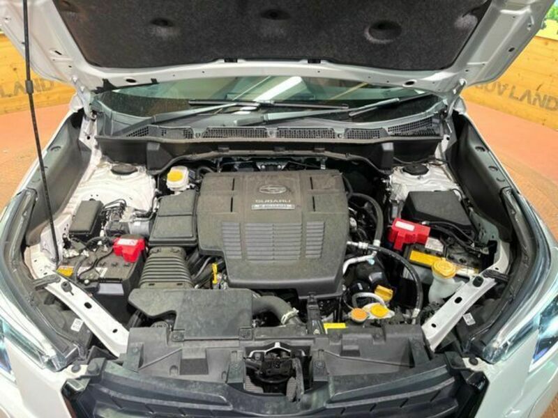 FORESTER-18