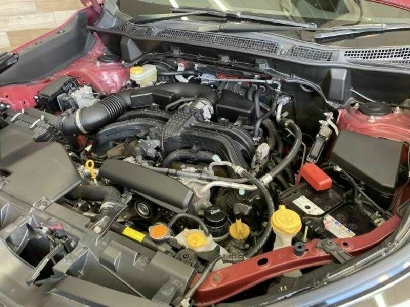 FORESTER-17