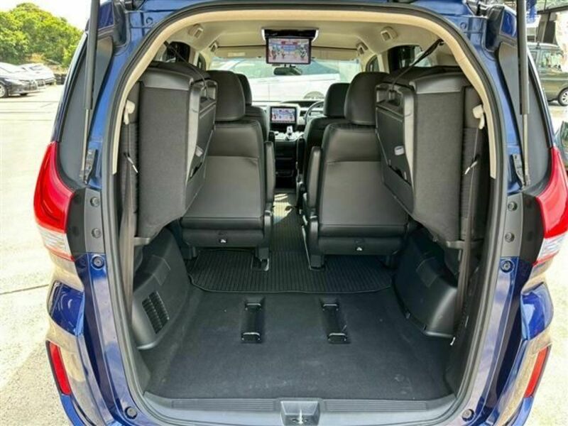 FREED HYBRID-13