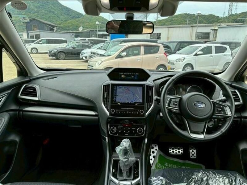 FORESTER-1