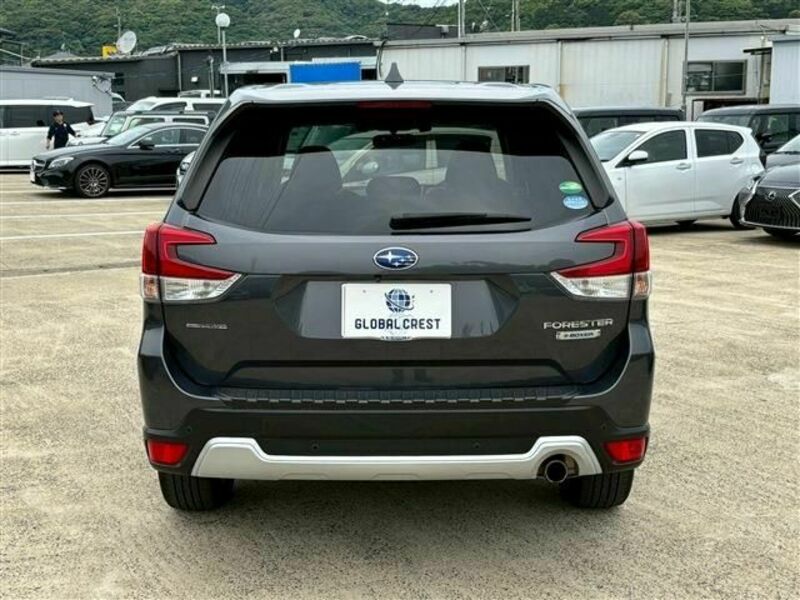 FORESTER-3