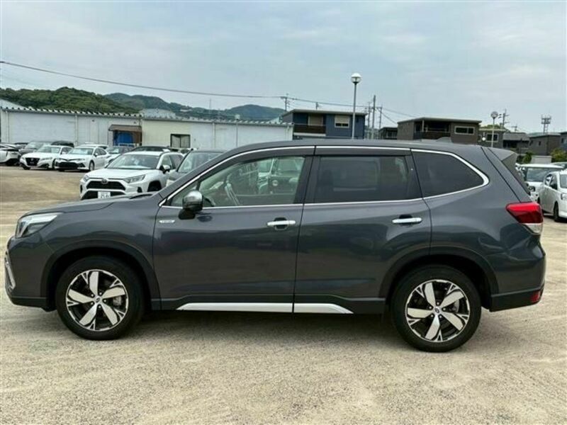 FORESTER-5