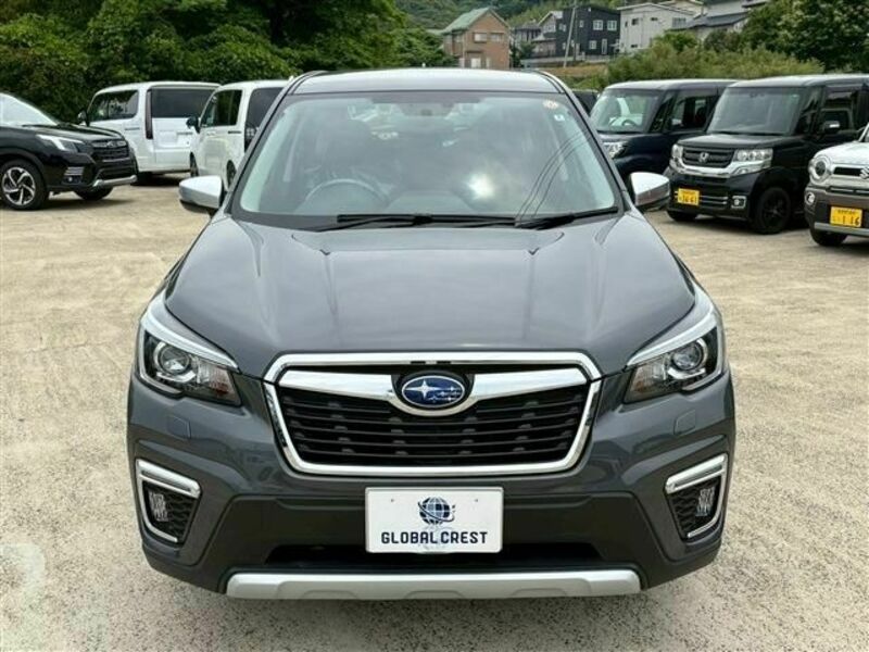 FORESTER-6