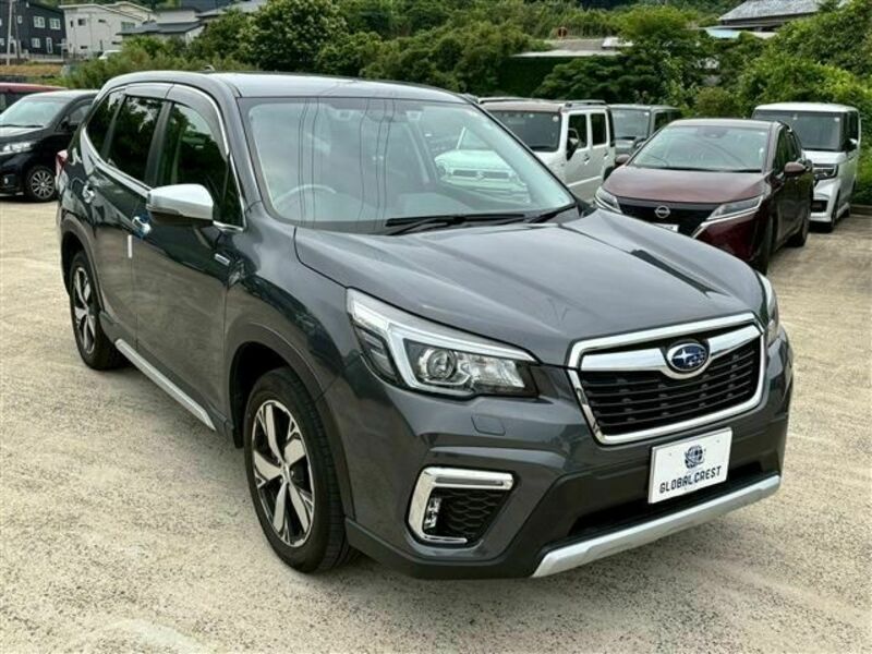 FORESTER-7