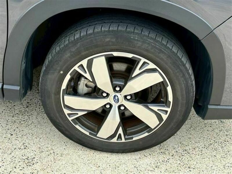 FORESTER-8