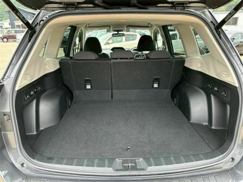 FORESTER-11